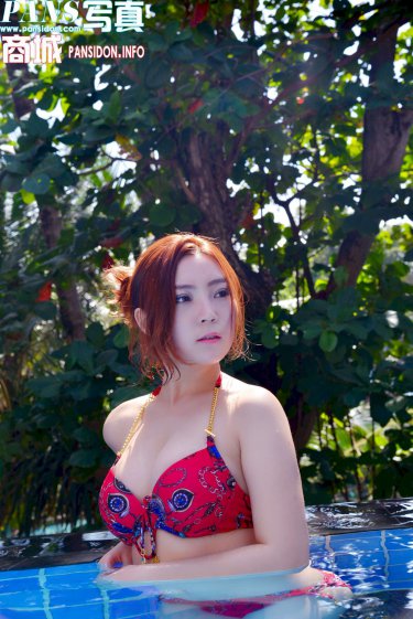 魏小鹏