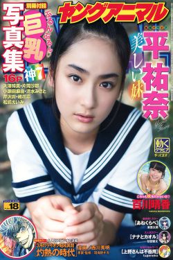大侠黄飞鸿