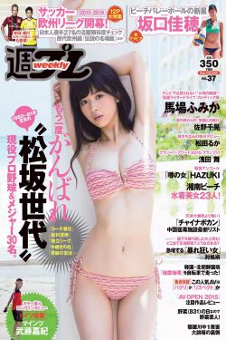 雪迷宫电视剧免费观看完整版
